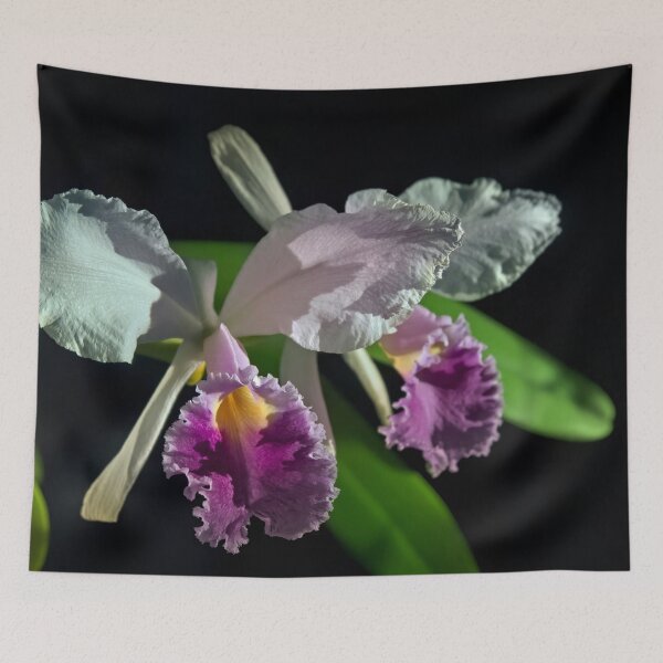 Item preview, Cattleya subvar Kodama designed and sold by alanathrower.
