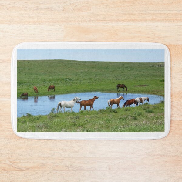 Item preview, Horsing Around the Pond designed and sold by Vivar Photo.