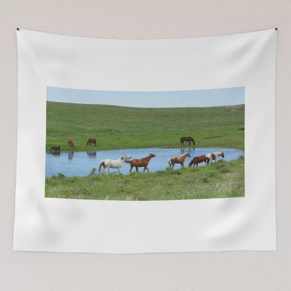 Item preview, Horsing Around the Pond designed and sold by Vivar Photo.