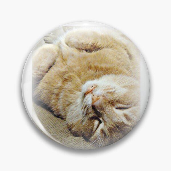 Item preview, Chill'N designed and sold by Vince Scaglione.