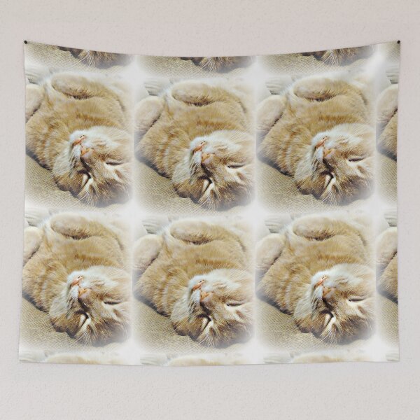 Item preview, Chill'N designed and sold by Vince Scaglione.
