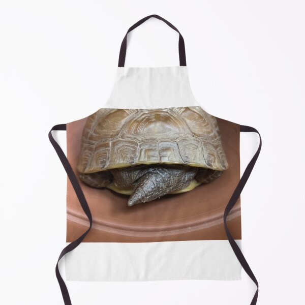 Turtle Tush Apron