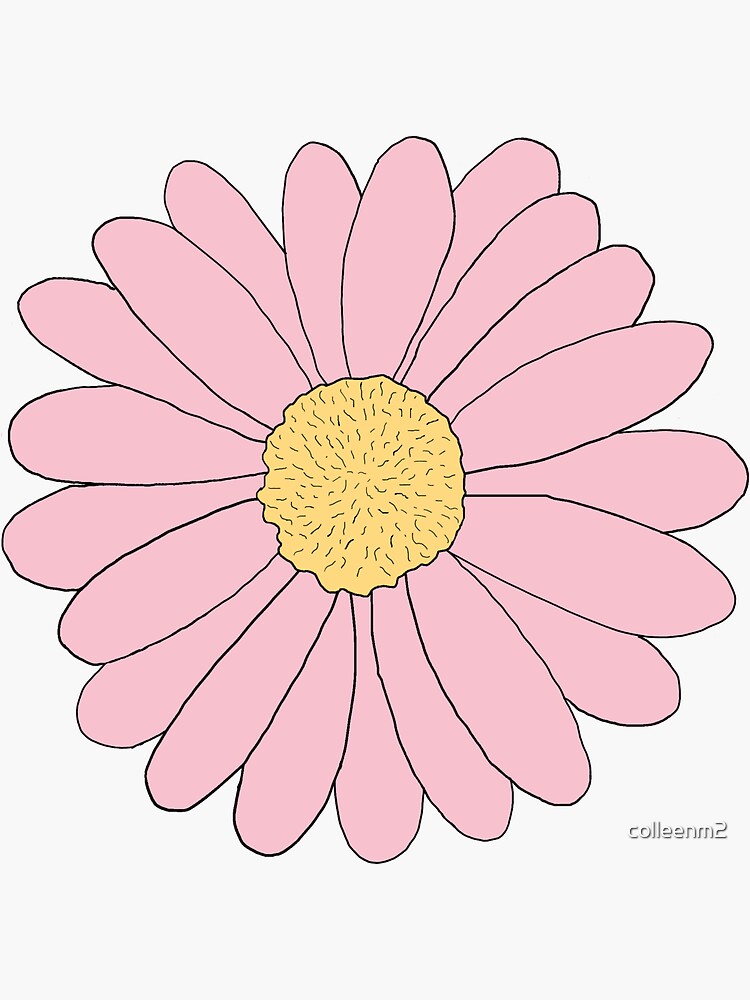 Dainty Pink Daisy Drawing by Kaleigh Day - Fine Art America