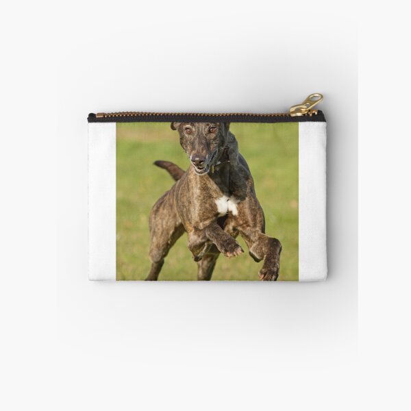 Item preview, Greyhound at Speed designed and sold by Sue Dudley.