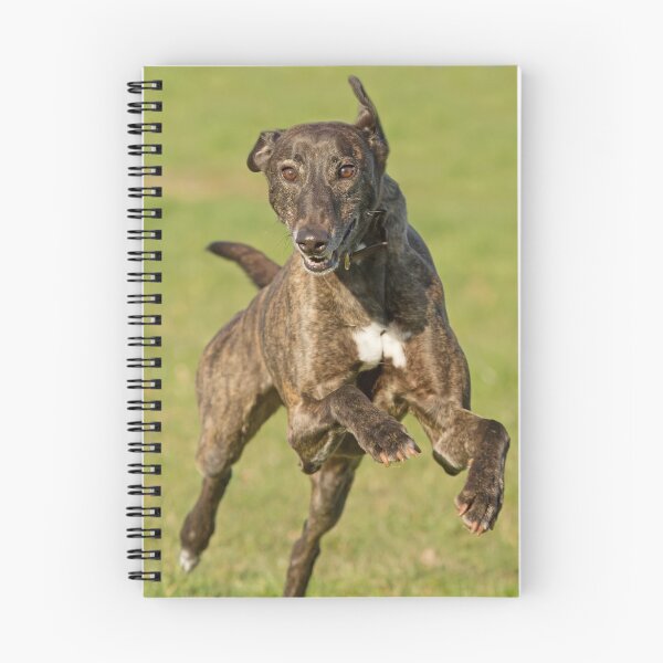 Item preview, Greyhound at Speed designed and sold by Sue Dudley.