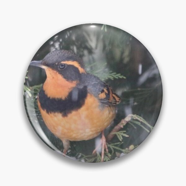 Item preview, Varied Thrush designed and sold by Penwortham.