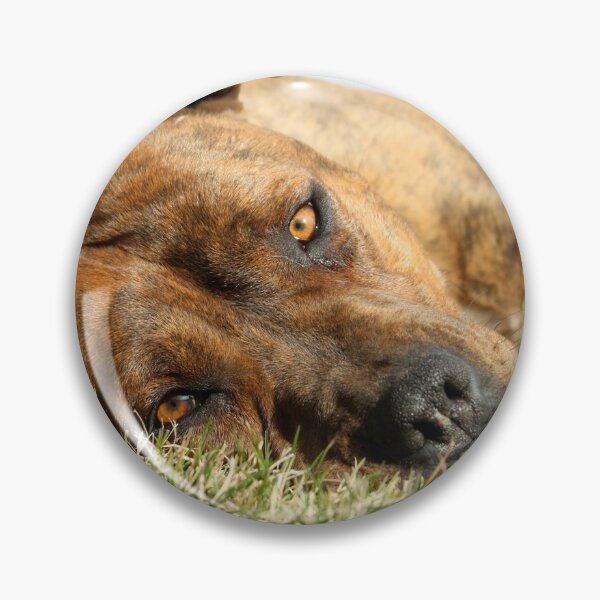 Item preview, Dog Lying Down designed and sold by WriteThatDown.