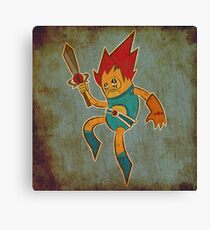 Lion O Canvas Print