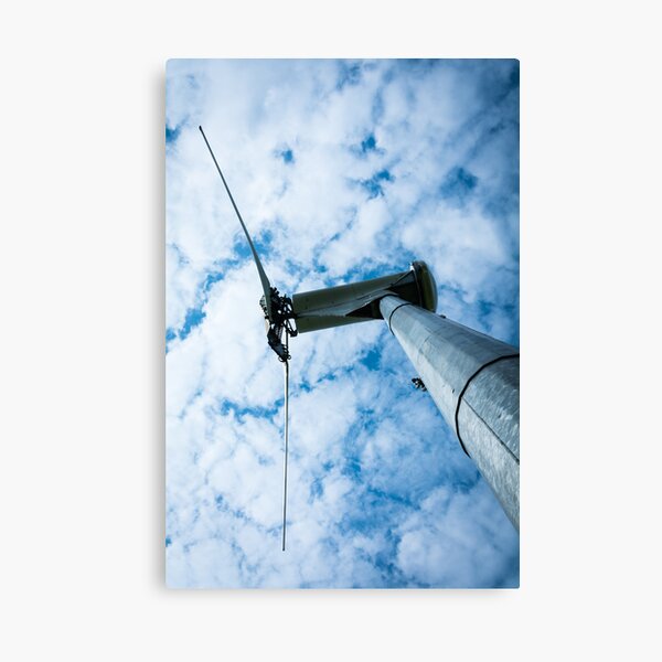 Waiting for wind Canvas Print