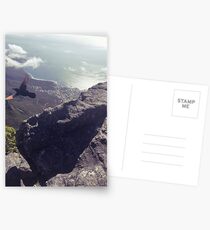 Red Winged Starling taking flight - Table Mountain Postcards