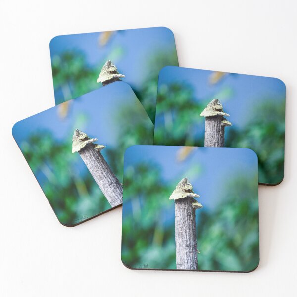 Item preview, Mushroom on the wood designed and sold by Mariolangstieh.