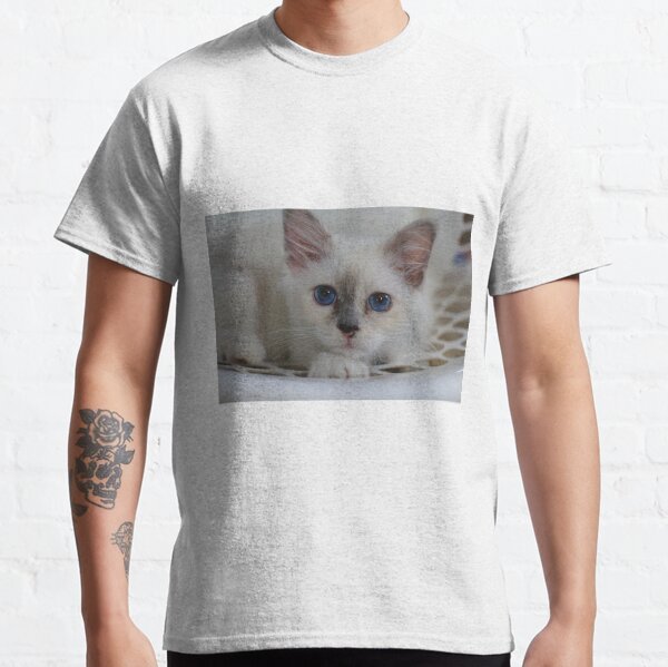 Birman Kitten in Basket Classic T-Shirt