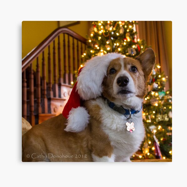 Charlie Merry Christmas Canvas Print