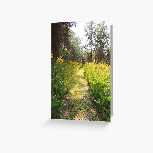 Where the Trail Turns Yellow Greeting Card