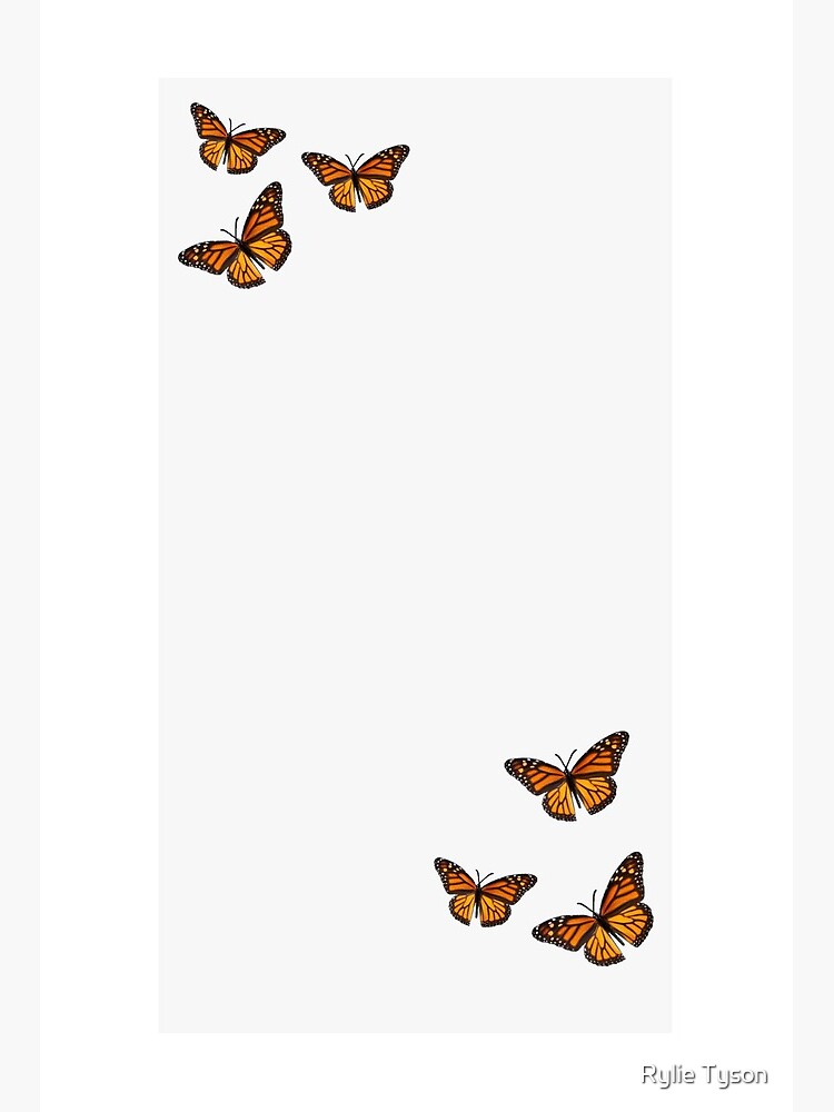 Aesthetic Butterfly Wallpaper