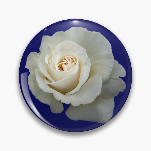 Item preview, Elegant White Roses on Navy designed and sold by mshemon.