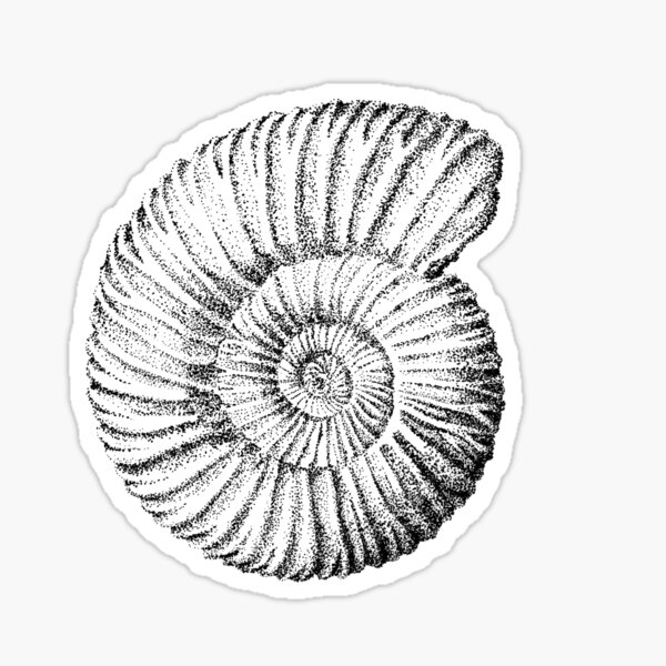 Pen and ink ammonite Sticker