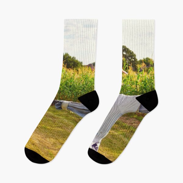 Item preview, Scarecrow in a Cornfield designed and sold by unsweetea.