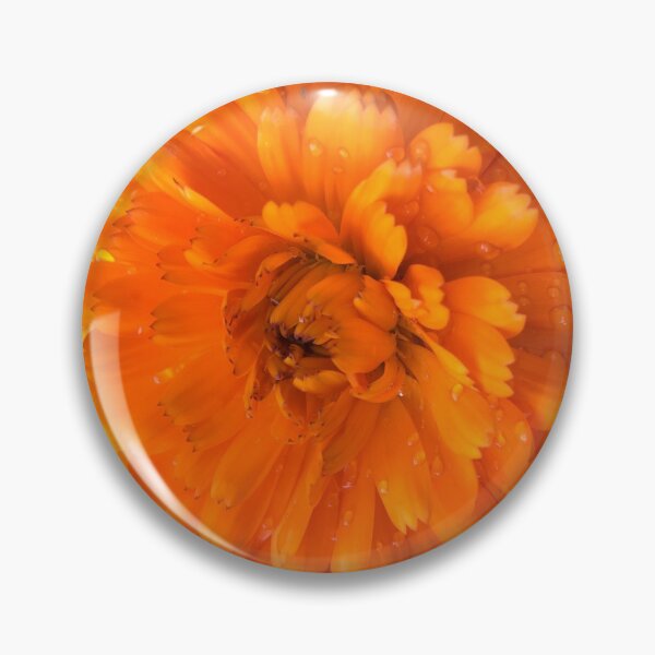 Pin Button