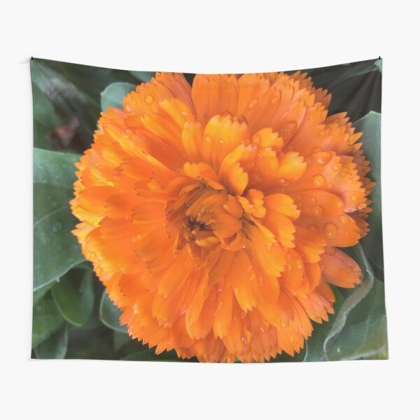Tapestry
