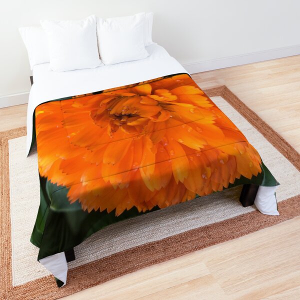 Comforter