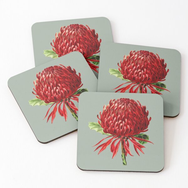 Item preview, Vintage Waratah Illustration designed and sold by karwilberevivalcollection.