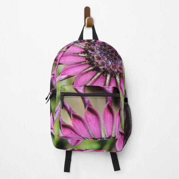 Item preview, Osteospermum – ‘Whirlygig’ designed and sold by Marilyn Harris.