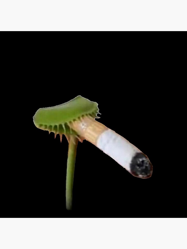 element hookah tobacco Element Tobacco – 5StarHookah