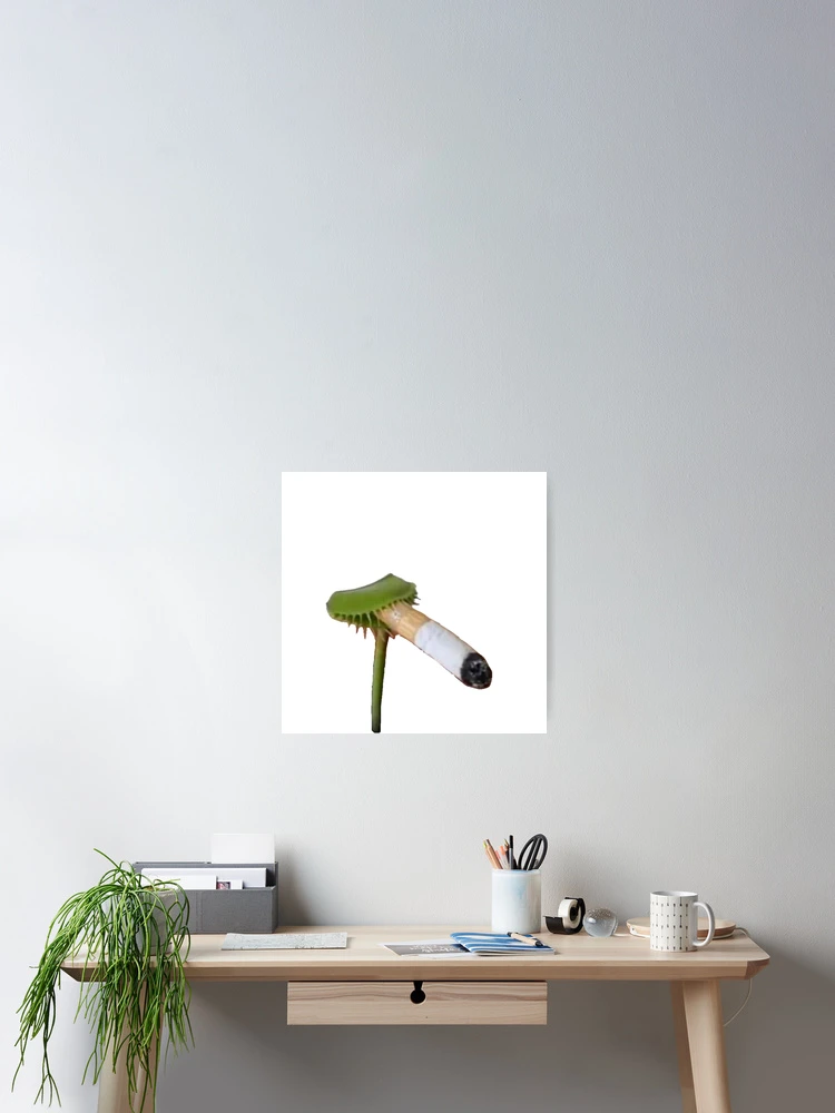 venus fly trap smoking a cigarette venus flytrap smoking a cigarette 