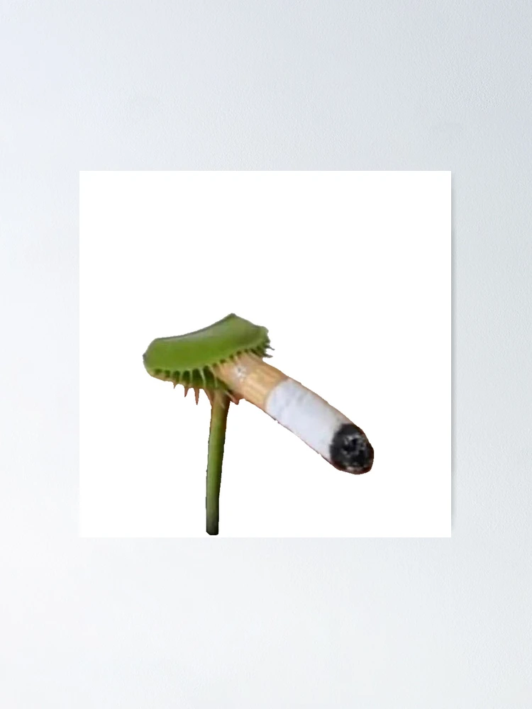 venus fly trap cigarette venus flytrap smoking a cigarette Poster