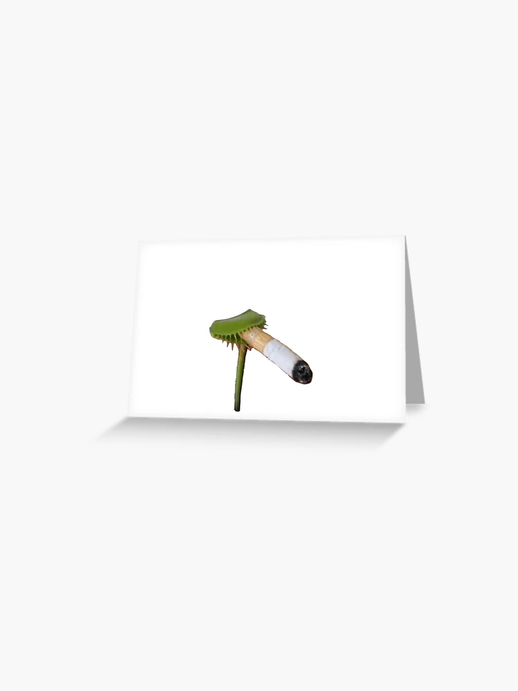 venus fly trap cigarette 