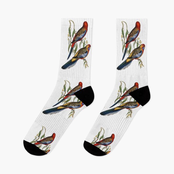 Item preview, Adelaide Rosella Vintage Illustration designed and sold by karwilberevivalcollection.
