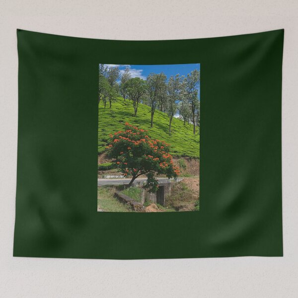 Item preview, SSK 9214 Envying From The Top. Color designed and sold by Sunil Kapadia.