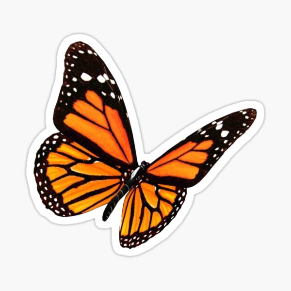 Item preview, butterfly designed and sold by alrightalexaaa.