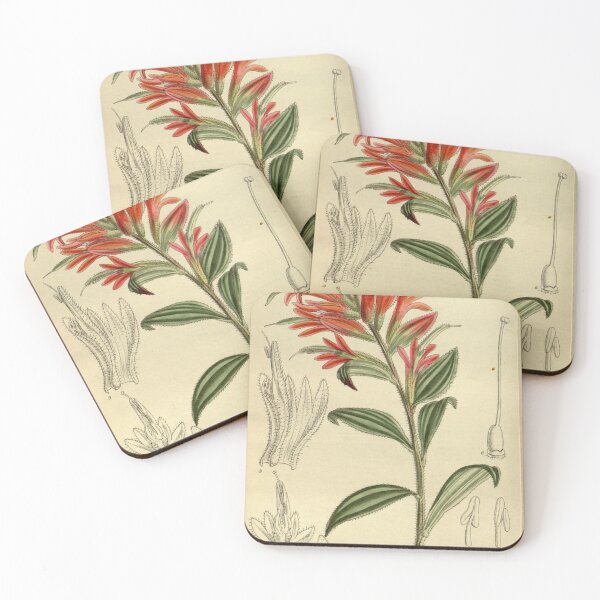 Item preview, Castilleja miniata 143 8730 designed and sold by EsotericBotanic.