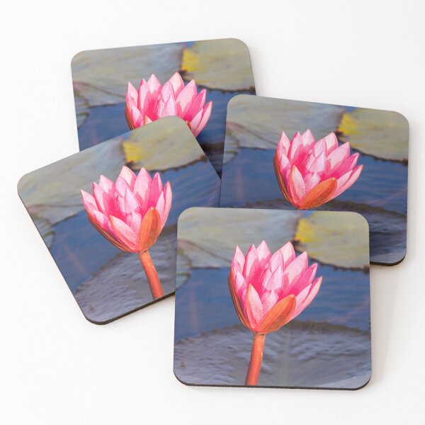 Item preview, Flower of a pink water lily (Nymphaeaceae) designed and sold by Kevin Hellon.
