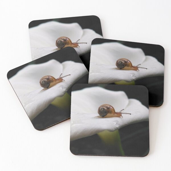 Item preview, Snail on White Calla Lilly Flower Macro Photography designed and sold by LoveBugAcres.