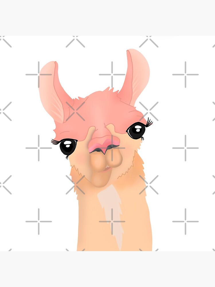 Llama Face Poster By Adriennemay Redbubble 5282