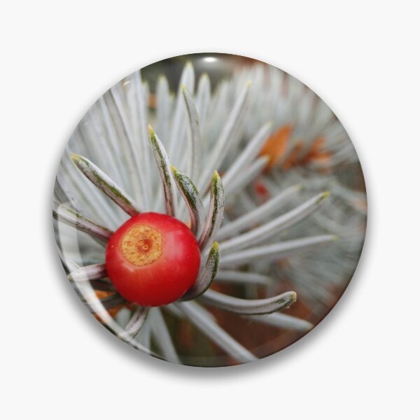 Item preview, Berry on Spruce Needles Macro Photography designed and sold by LoveBugAcres.