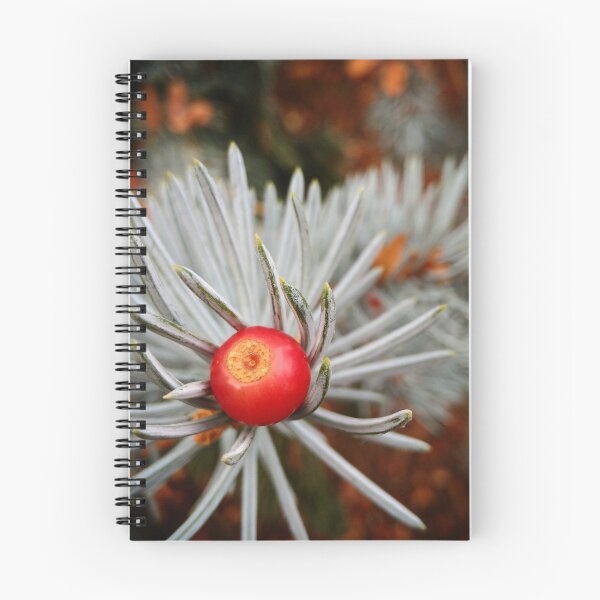 Item preview, Berry on Spruce Needles Macro Photography designed and sold by LoveBugAcres.