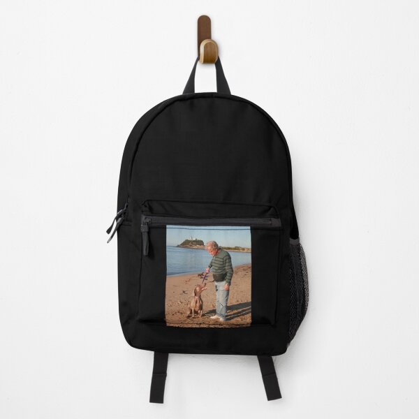 Item preview, 24. Don & his wife's Weimaraner designed and sold by Cathie Brooker.