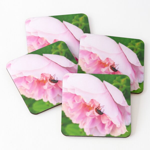 Item preview, Beetle on a Pink Flower Macro Photography designed and sold by LoveBugAcres.