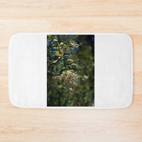 Item preview, Sweet Bursaria designed and sold by GP1746.