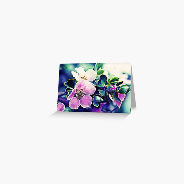 tea tree blossom, pink flowers Greeting Card