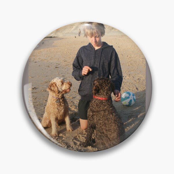 Item preview, 39. Remy & Maya & Pedro his Labradoodles designed and sold by Cathie Brooker.