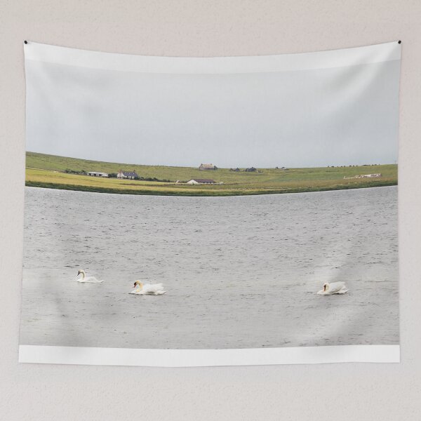 Item preview, Scottish Swans designed and sold by kaitlynloren.