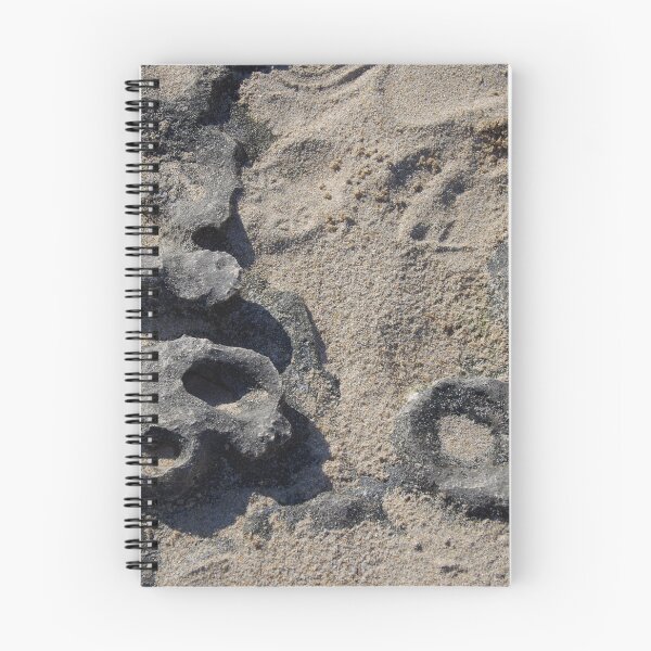 Item preview, Holy Rocks - Point Peron WA designed and sold by lezvee.