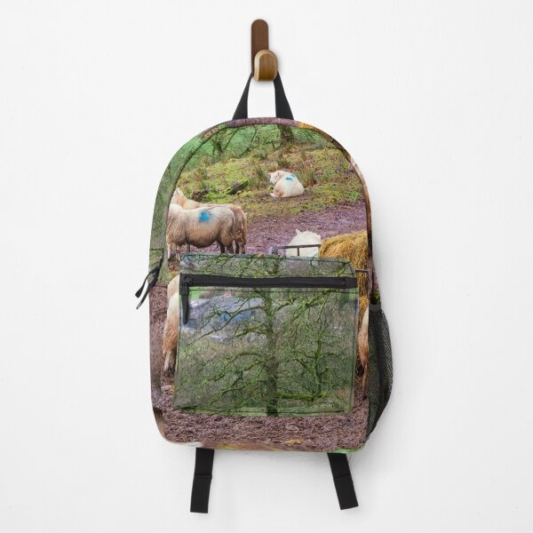 Item preview, Sheep Feeding in the Brecon Beacons designed and sold by Dan Santillo.