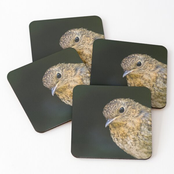 Item preview, Juvenile Robin designed and sold by Adrian Rowley.