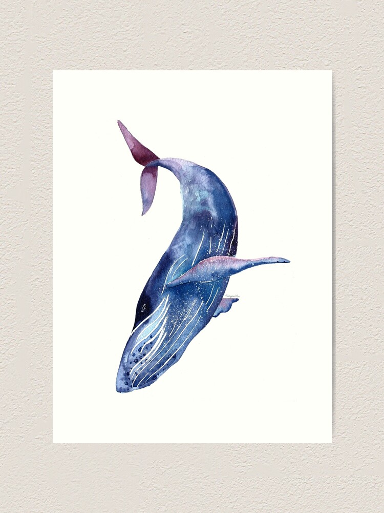 Whale art watercolor whale blue whale purple whale